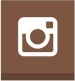 Global Media Network icon button for Instagram