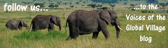 wide angle image of three African elephants walking left to right with the message "follow us to the blog"
