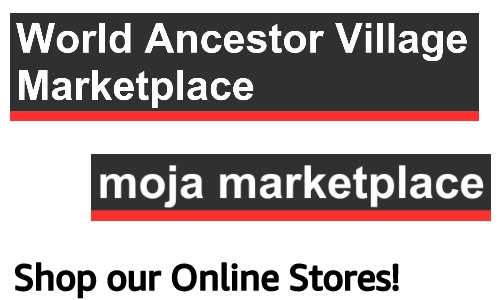 Composite image of 2 online store header title banners, white text on black background with red bottom band, text reads, "Shop our Online Stoes"